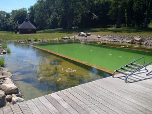 Swimming Teich Putbus