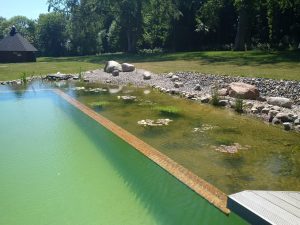 Swimming Teich Putbus